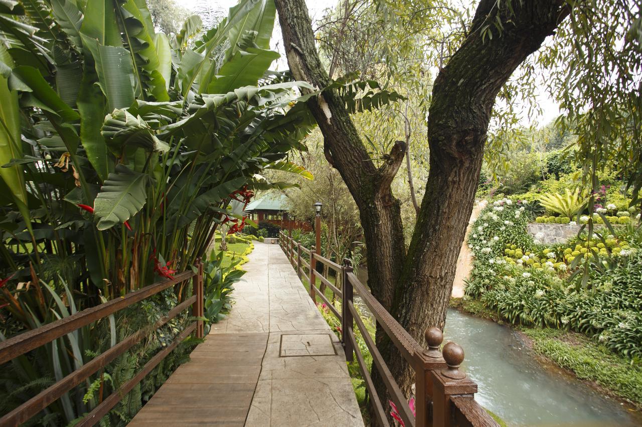 Quinta Sauz Hotel Tacámbaro de Codallos Eksteriør billede